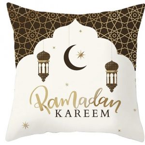 Housse de coussin x2